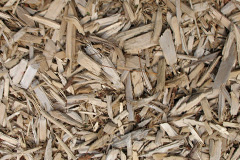 biomass boilers Puddlebridge